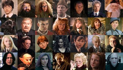 The characters in harry potter - plmbo