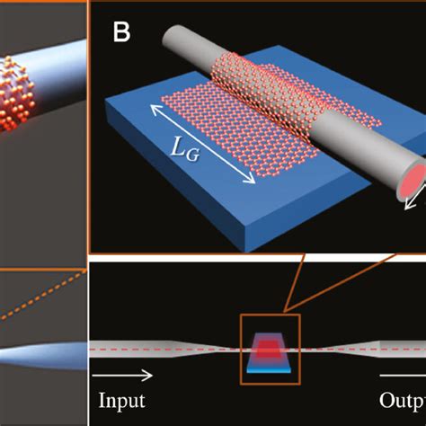 2D material-decorated microfiber photonic device fabrication using the ...