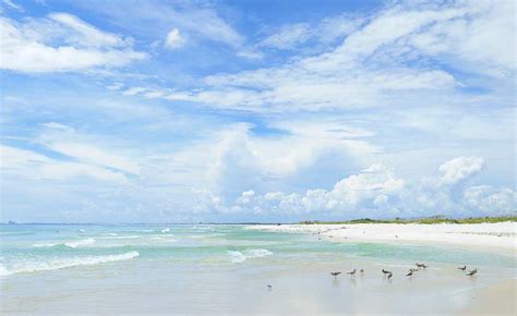 11 Epic Florida Gulf Coast Beaches For Your Sunshine State Trip