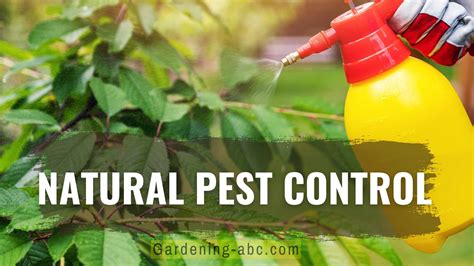 12 Natural Pest Control Methods: Control Pests Organically With Natural ...