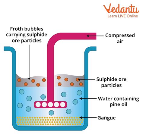 Froth Flotation Principle and Process Important Concepts and Tips for JEE