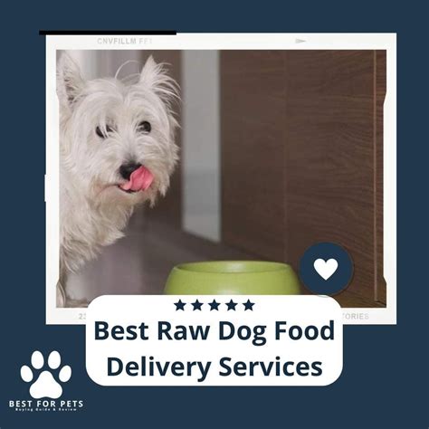 The 10 Best Raw Dog Food Delivery Services - BestForPets.org