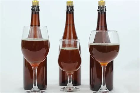 How to Make Lambic Beer at Home? My Pro Process Adapted for Homebrewers