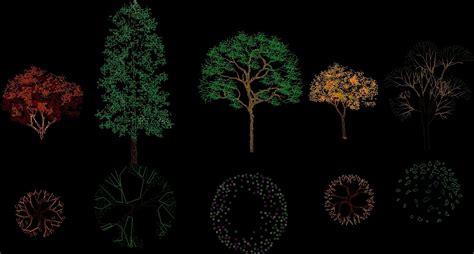 Trees 2D DWG Block for AutoCAD • Designs CAD