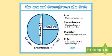 Area and circumference of a circle poster for display | NZ