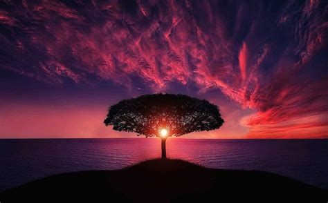 10 stunning sunset photos - Corel Discovery Center