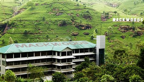 Mackwood Tea Factory, Nuwara Eliya - Timings, Entry Fee, History ...