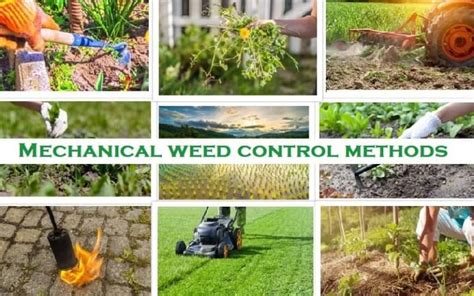 8 Best Mechanical weed control methods with Merits Demerits - Basic ...