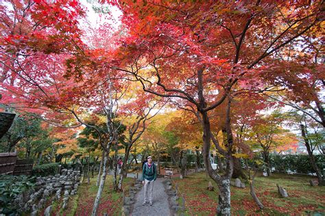 Kyoto Autumn Leaves - When to Go and Best Places to Visit ...