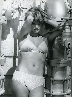 Sexy jean hale in like flint 1967 vintage photo bikini original #2 | eBay