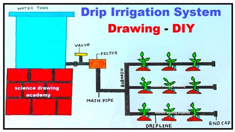 drip irrigation system drawing diy | simple and easy | science drawing ...