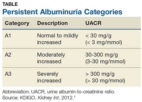 Albuminuria Causes Symptoms Treatment Albuminuria