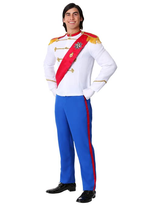 Plus Size Charming Prince Costume for Men