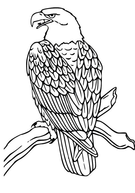 Eagle Flying Coloring Pages at GetColorings.com | Free printable ...