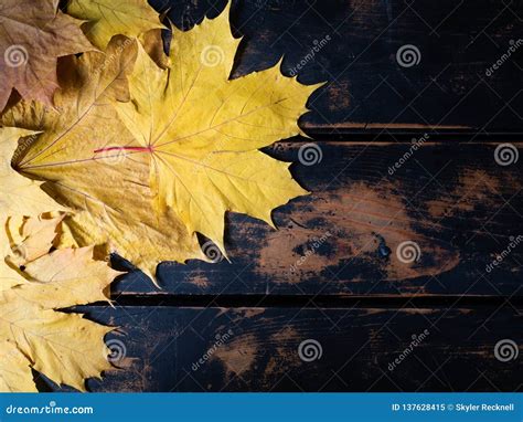 Fall Leaves Rustic Wood Stock Photos - Download 22,596 Royalty Free Photos