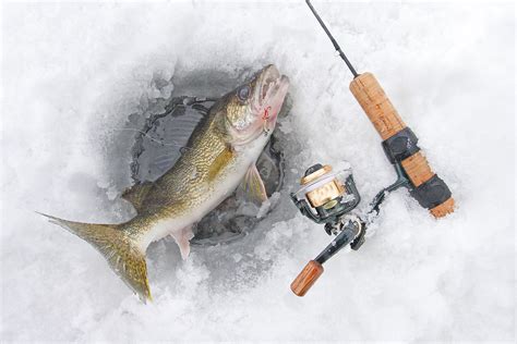 Anglers Guide to Ice Fishing for Walleye