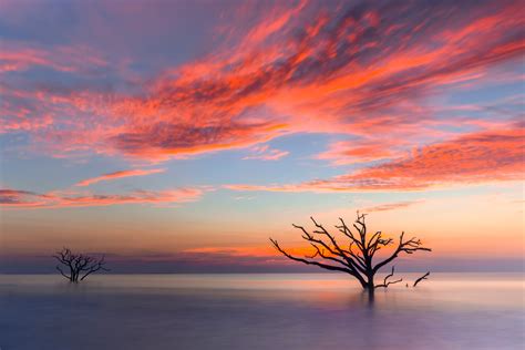 Botany Bay Trees In Ocean Sunrise Fine Art Photo Print | Photos by ...