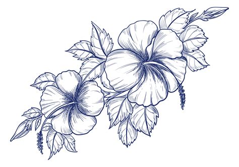 Flowers Drawing Images | Best Flower Site