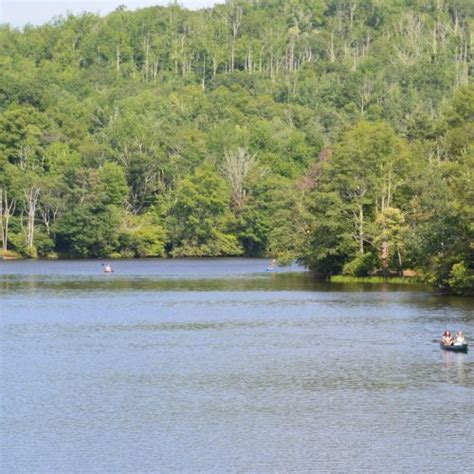 Bat Cave Preserve, North Carolina Nature Conservancy » Carolina ...