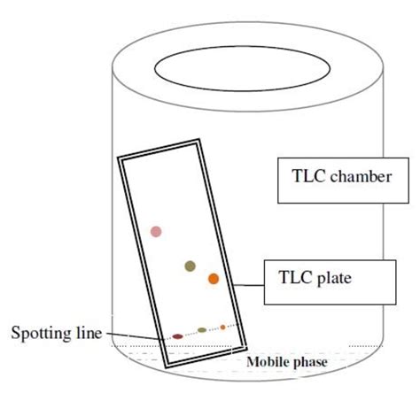 Tlc Chromatography Diagram