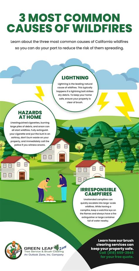 The Three Most Common Causes of Wildfires - Green Leaf Zone