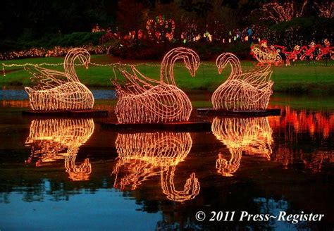 University Of Alabama Christmas Lights