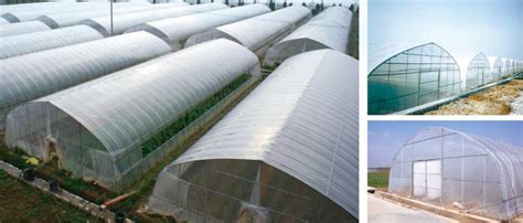 Greenhouse - types of greenhouse structures - tidapars