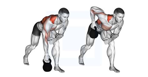 Kettlebell One Arm Row - Guide, Benefits, and Form