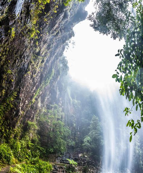 Tamborine Tours | Skywalk Included - Scenic Day Tours