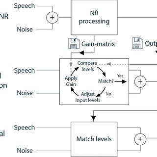 A simplified schematic overview that shows how the different stimuli ...