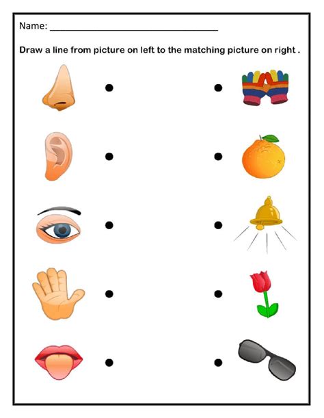 5 Senses Matching - Interactive worksheet | Body parts preschool ...