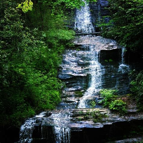 a waterfall in the middle of a forest