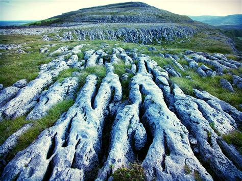 The Burren National Park- County Clare (Nebentour) | Burren, Trip ...