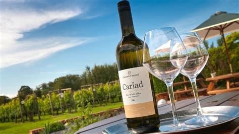 Llanerch Vineyard Cariad Wine