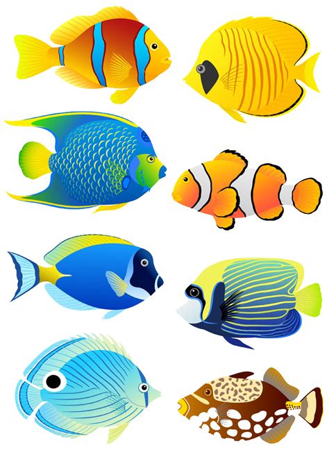 Fish clipart coral reef fish, Fish coral reef fish Transparent FREE for ...