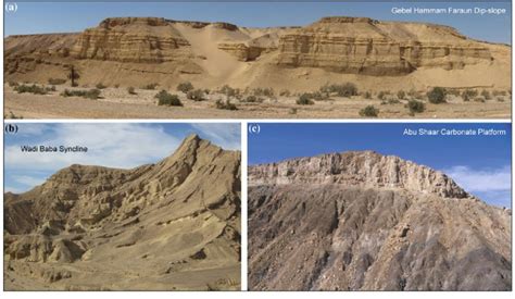 Field photographs of syn-rift strata from the northern Red Sea rift ...