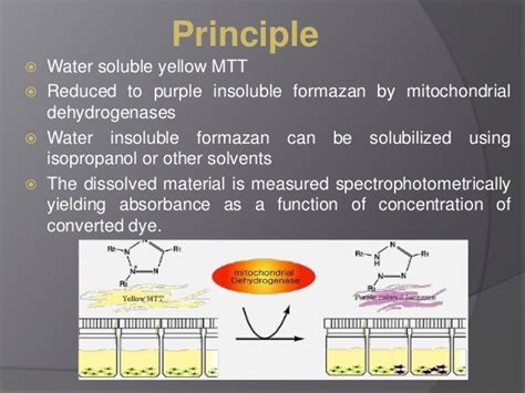 Mtt Assay for cell viability