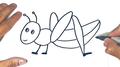 How to draw a Grasshopper for kids | Drawings Tutorials - YouTube