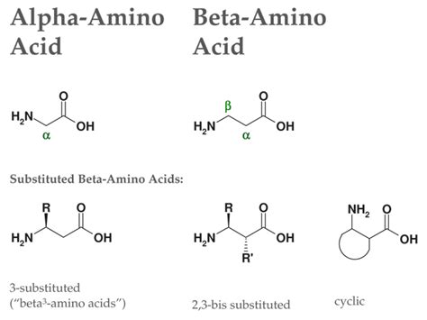 Beta2-Amino Acids: Synthesis Approaches & Compounds - ChiroBlock ...