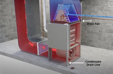 What is a Condensate Drain Line? | Expert Tips for Air and Energy of NWFL