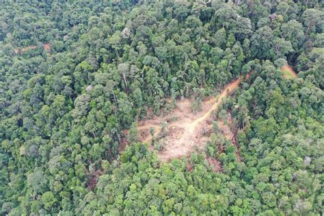 Penebangan hutan dibimbangi ulang tragedi tanah runtuh di KLK - Kosmo ...