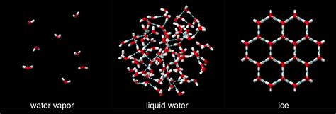 Atoms & Molecules: e-chapter — The Biology Primer