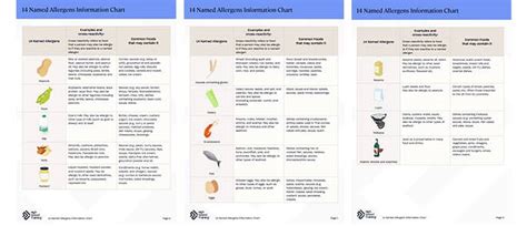 Food Allergen Printable Chart