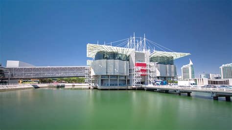 Lisbon Oceanarium Second Largest Oceanarium Stock Footage SBV-304862227 ...