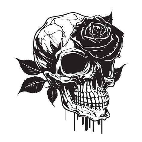 Skull With Rose Flower Black Outline Vector. Human skull with rose ...