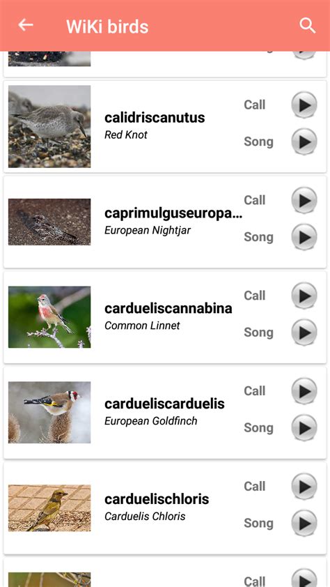 Bird Identification for Android - Download