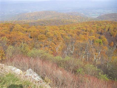 8 Great Things To Do In Shenandoah Valley Virginia • McCool Travel