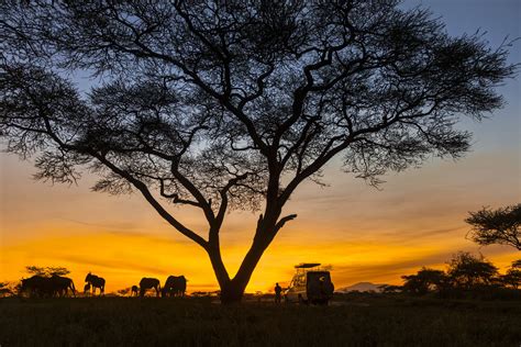 Serengeti National Park, Tanzania: the Complete Guide