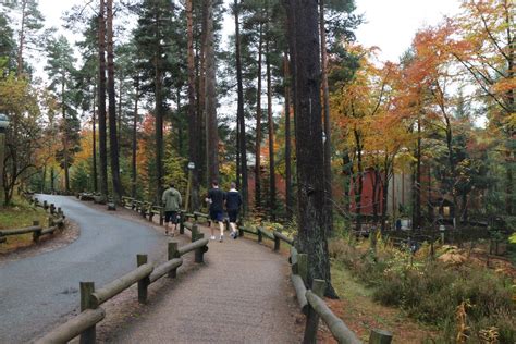 Gallery Center Parcs Whinfell Forest - Visit Cumbria