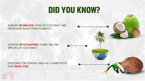 Coconut Farming in India: Coconut Cultivation & Harvesting Tips